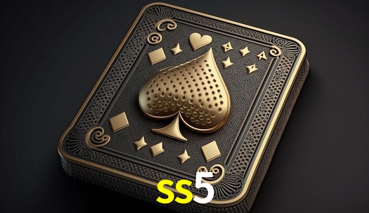 Design Responsivo ss5