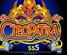 Descubra a Essência do ss5: Nossa História e Compromissos