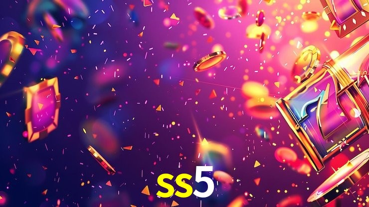 Interface Premium ss5